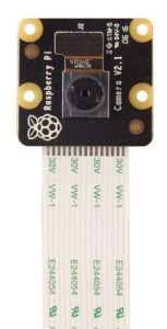 Raspberry Pi Kamera Modül V2 - NOIR