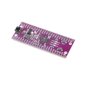 W806 32 Bit WiFi Bluetooth IOT Geliştirme Kartı