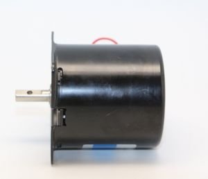 220V 20 Rpm AC Senkron Motor